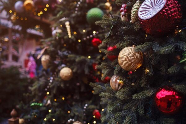 Erster Christtag | Weihnachten